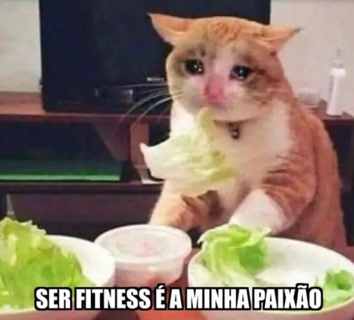 3 meses de academia para o casal entrar em forma depois do casamento e da lua-de-mel.